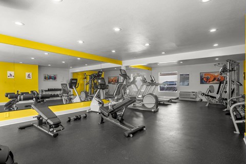 A gym with a variety of equipment including treadmills, weights, and exercise machines.