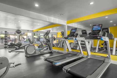 A gym with treadmills and other exercise equipment.
