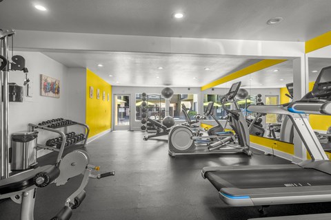 A gym with treadmills, exercise bikes, and other equipment.