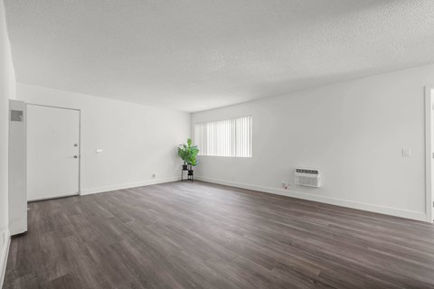 A room with wooden flooring and a small plant in the corner.