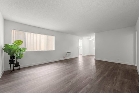 A room with wooden floors and a plant on a table.