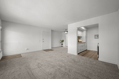 A spacious room with a grey carpet and white walls.