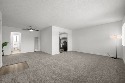 A spacious living room with a ceiling fan and a lamp.