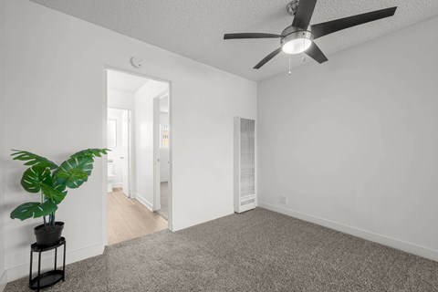 A room with a ceiling fan and a potted plant on a stand.