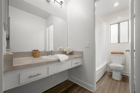 A bathroom with a sink, mirror, and toilet.