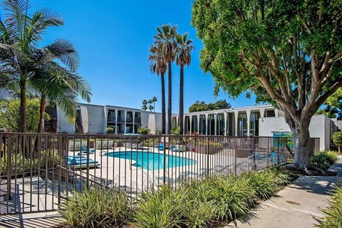 Fenced pool area with palm trees and arched architecture at Parc @ 5 Apartments, Downey, California