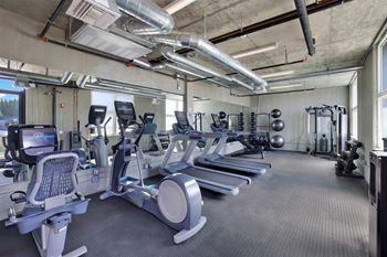 a gym with cardio equipment and weights in a building at the perch, Los Angeles, California