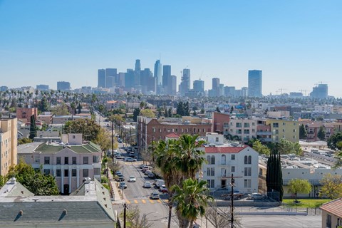 a view of the city with buildings and palm trees