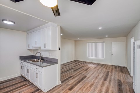 Kitchen - Living area