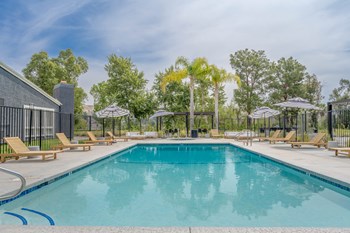 View of Pool Area - Photo Gallery 2