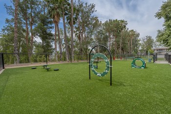 grassy play area - Photo Gallery 5