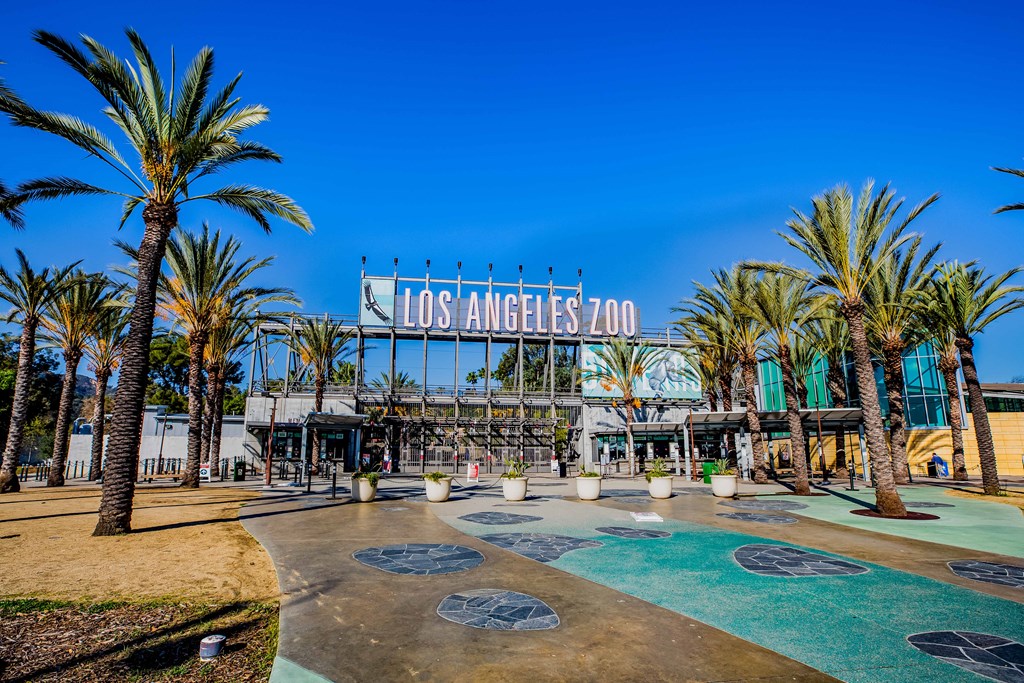 LA Zoo picture