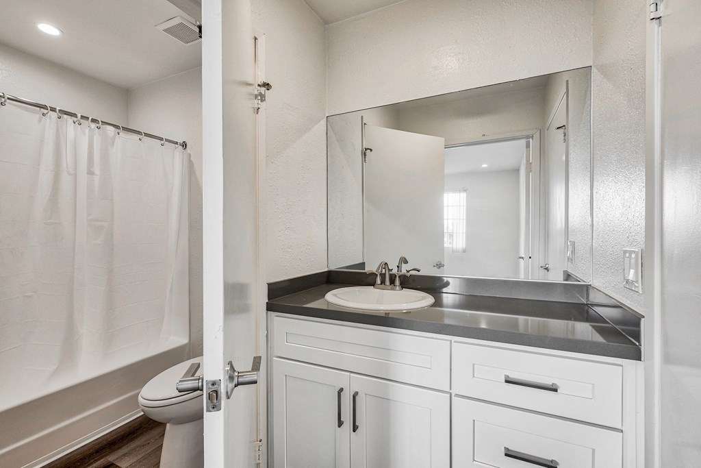 vanity with upgraded counters