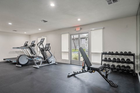 a gym with a lot of weights and mirrors