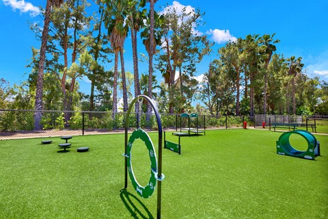 a playground with agility equipment in a park with trees a playground with agility equipment in a park with trees at Monterra Ridge Apartments, Canyon Country, California