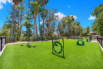 a park with agility equipment on the grass at Monterra Ridge Apartments, California,91351