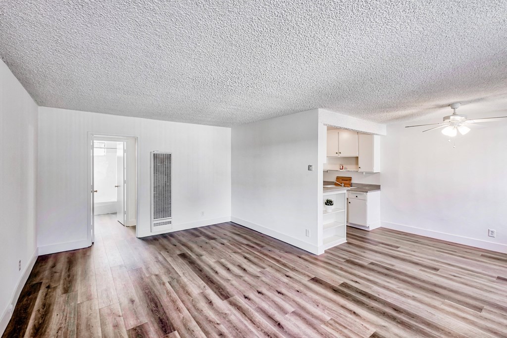 Living room and dining room