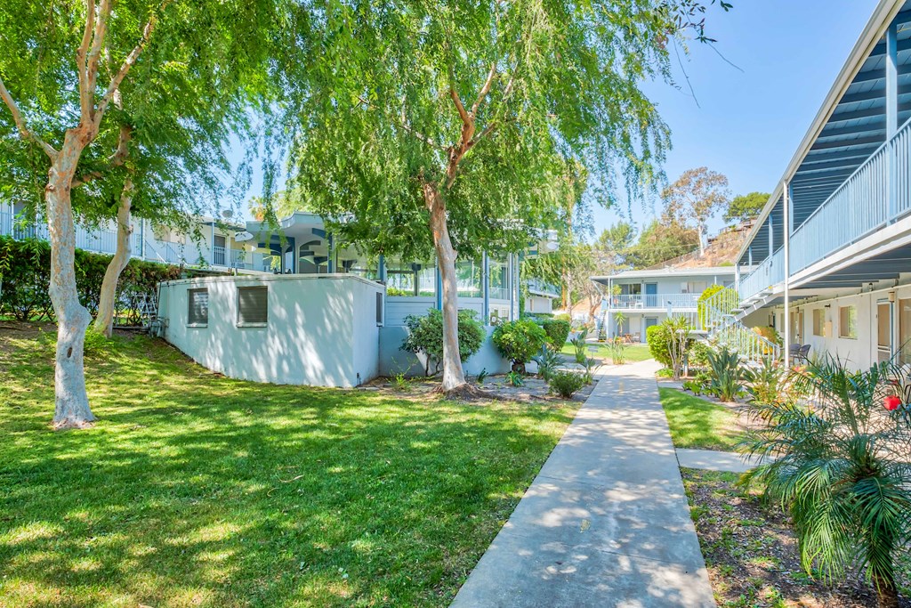 Walkway with trees for shade