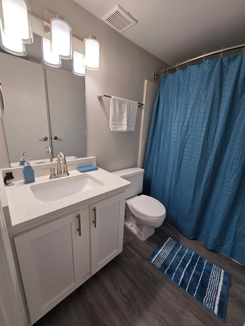 A bathroom with a sink, toilet, and shower curtain.