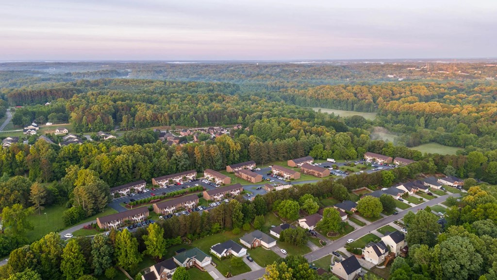 A bird's eye view of a residential area surrounded by trees.