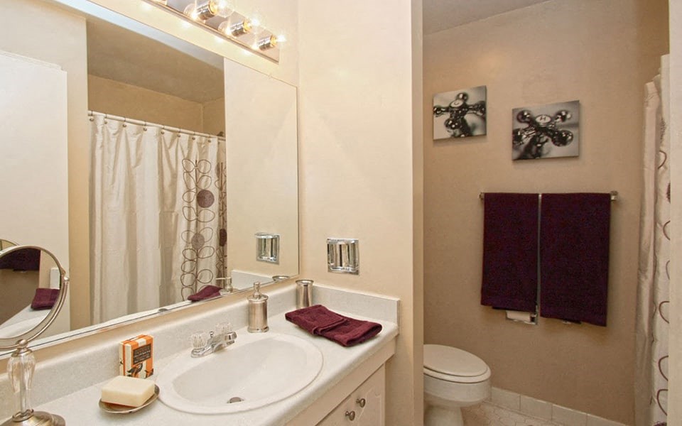 a bathroom with a sink and a mirror and a toilet