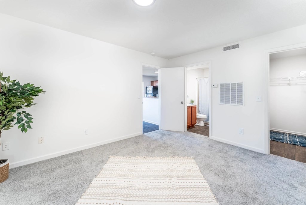 A room with a rug on the floor and a plant on the left side.