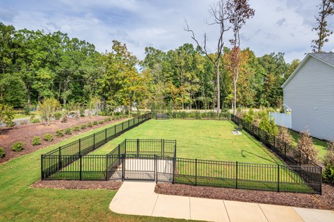 A backyard with a black fence and a green lawn.