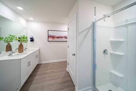 A white bathroom with a walk in shower and a white vanity.