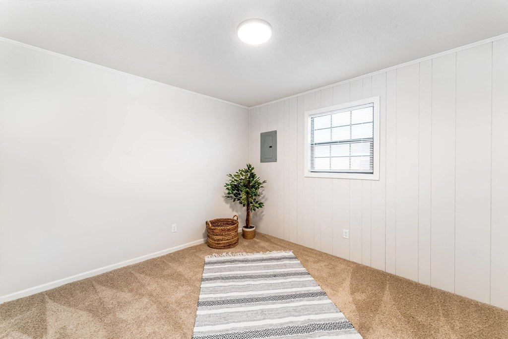 A room with a carpet, a plant, and a window.