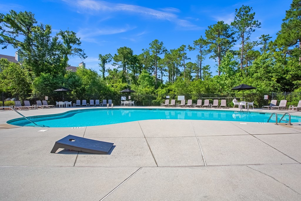 A large outdoor swimming pool surrounded by trees and lounge chairs.