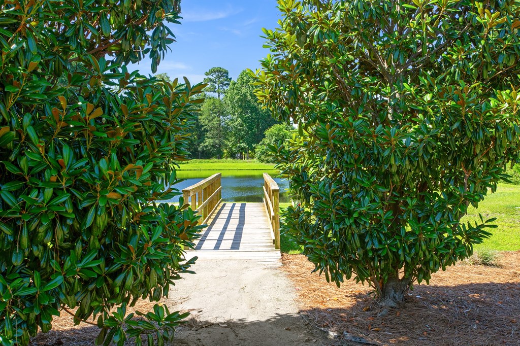 A bridge made of wood and concrete is seen through the leaves of a tree.