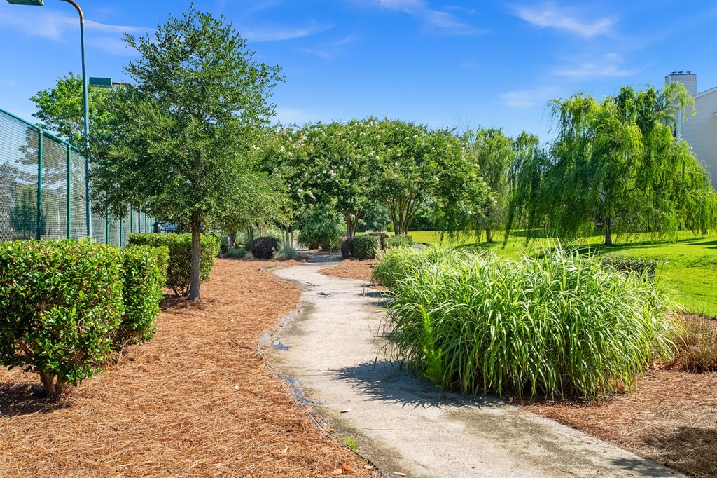 A pathway in a park with green trees and shrubs on either side.