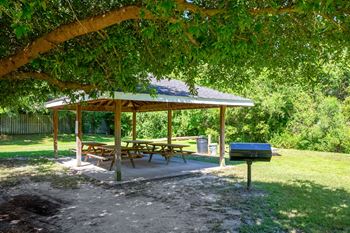A picnic area with a table and benches under a tree.