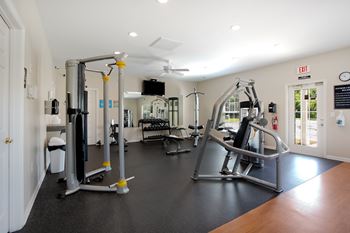 A gym with a variety of equipment including a treadmill, weights, and a bench press.
