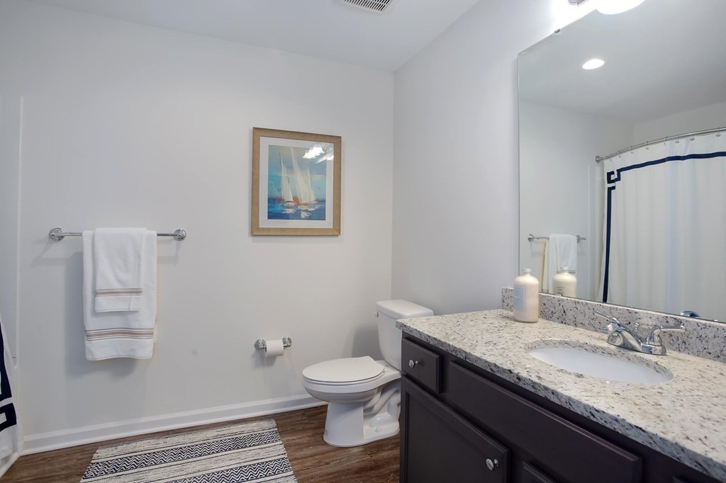 A bathroom with a toilet, sink, and a picture on the wall.