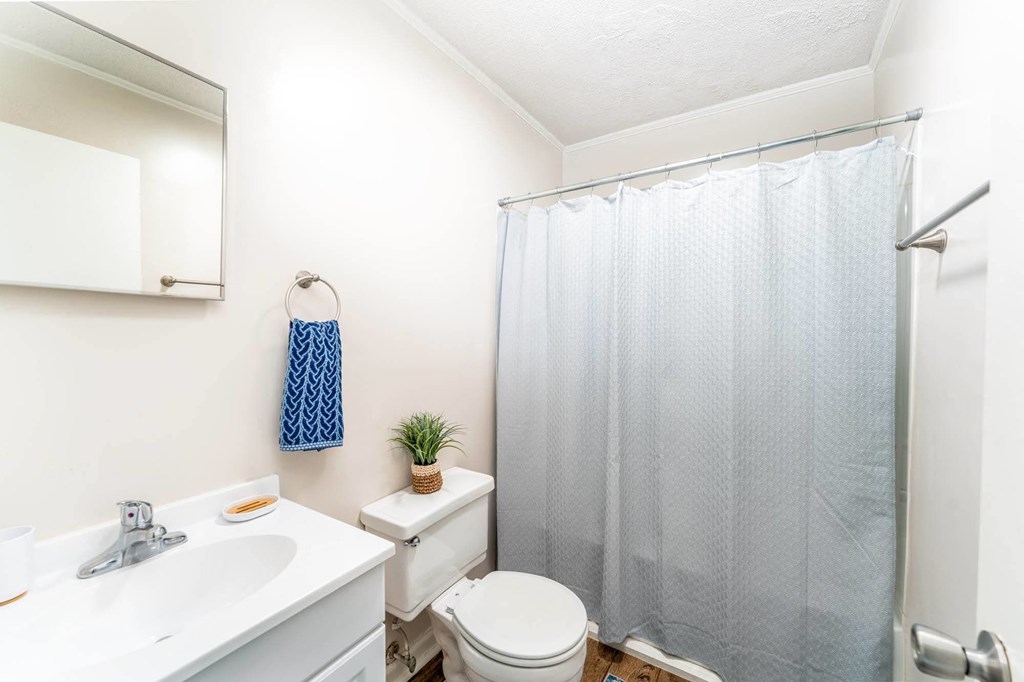 A small bathroom with a toilet, sink, and shower curtain.