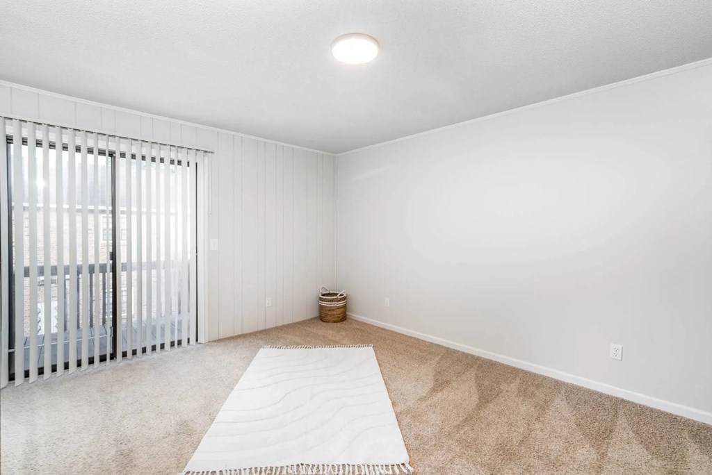 A room with a white rug on the floor and a window with blinds.