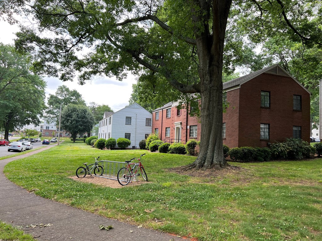 a couple of bikes parked in a grassy area next to a tree