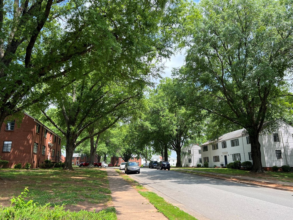 a street with houses and trees on both sides
