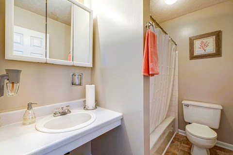 A bathroom with a white sink and toilet.