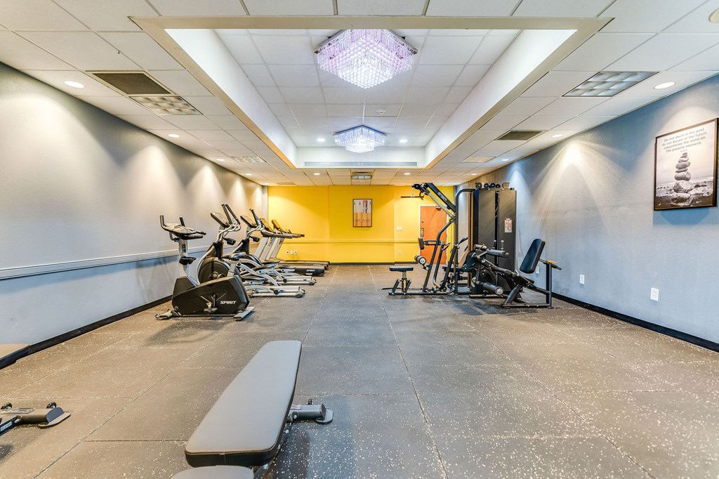 A gym with a variety of equipment including treadmills, weights, and a bench.