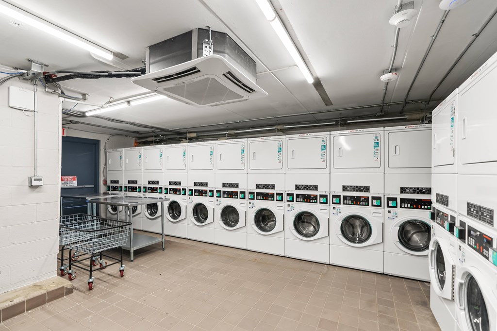A row of white front load washing machines are lined up in a laundry room.