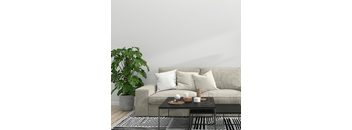 a living room with a couch and a coffee table and a plant