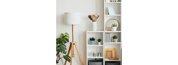 a shelf with plants and a lamp and a mirror