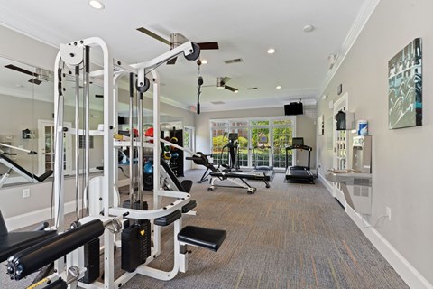 A gym with a variety of equipment including a squat rack, a bench, and a treadmill.