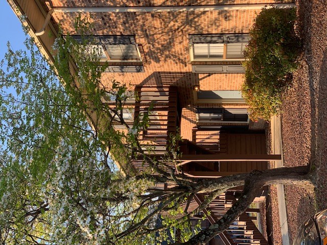 A tree branch is in the foreground of a building with a red brick facade.