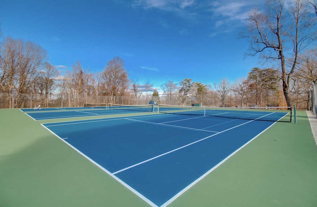 A tennis court with a net and trees in the background.