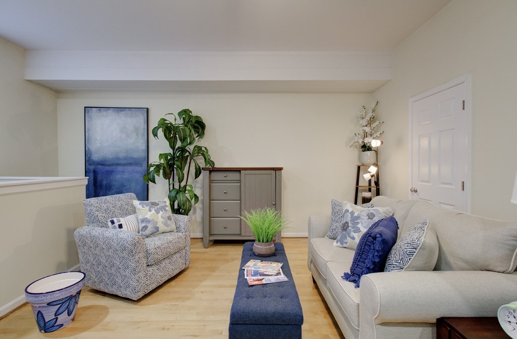 A living room with a grey couch, a blue chair, and a potted plant.