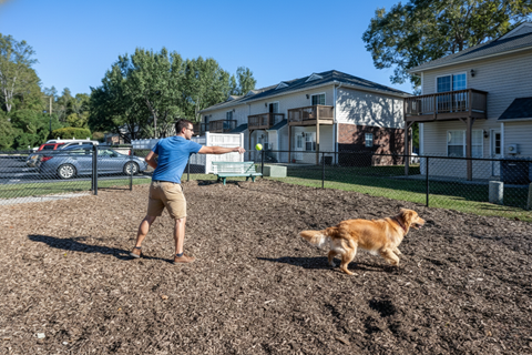 A man throwing a frisbee to a dog in a field.