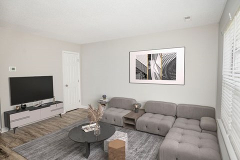A living room with a grey sofa, a black television, and a framed picture on the wall.